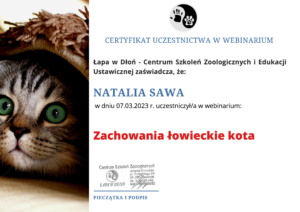 Natalia Sawa zabawy kota kotyharcuja